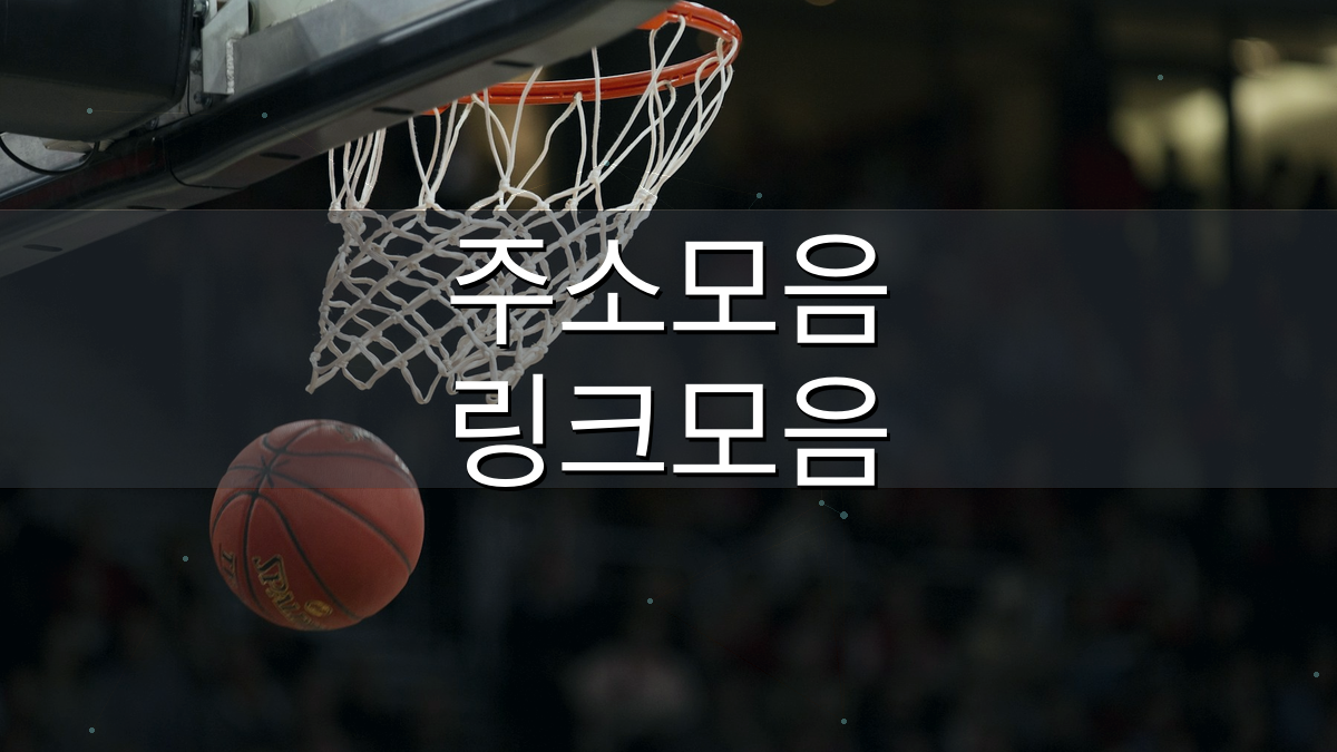 주소온길 스포츠중계 최신주소 확인 이미지